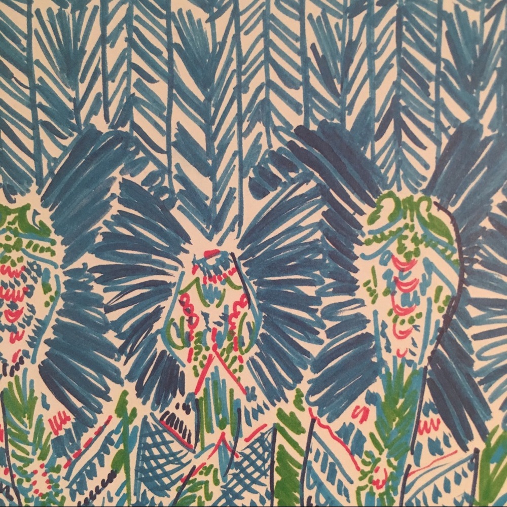 Lilly Pulitzer print !